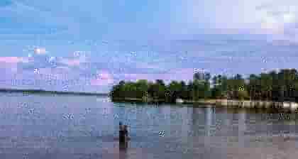 A quiet lake in the CSRA